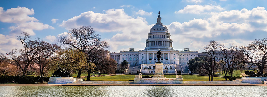 Washington, DC Capitol Building in the springtime